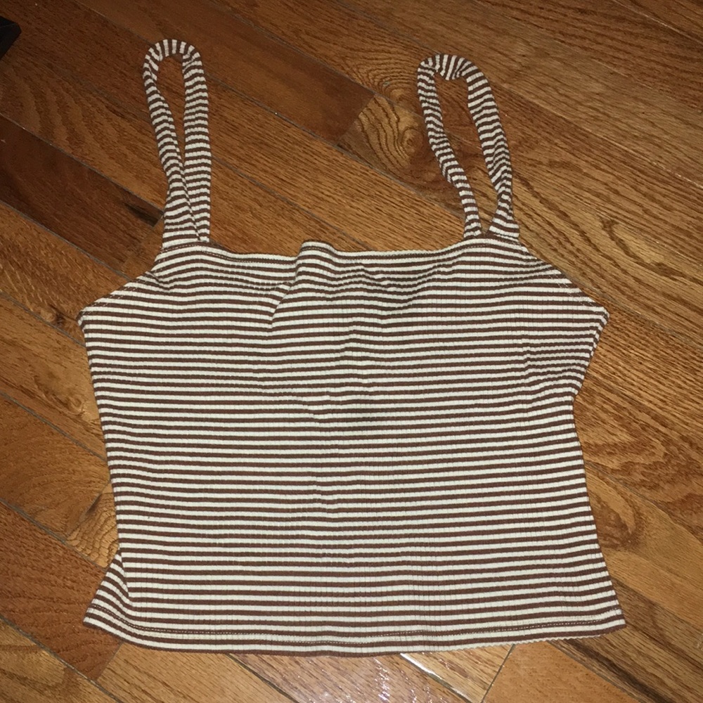 Reformation Ribbed Cropped Tank in Brown Stripe